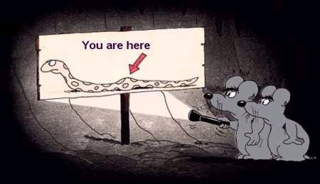 Where are we?