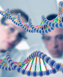 Gay genes in identical twins