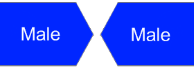 Male — Male