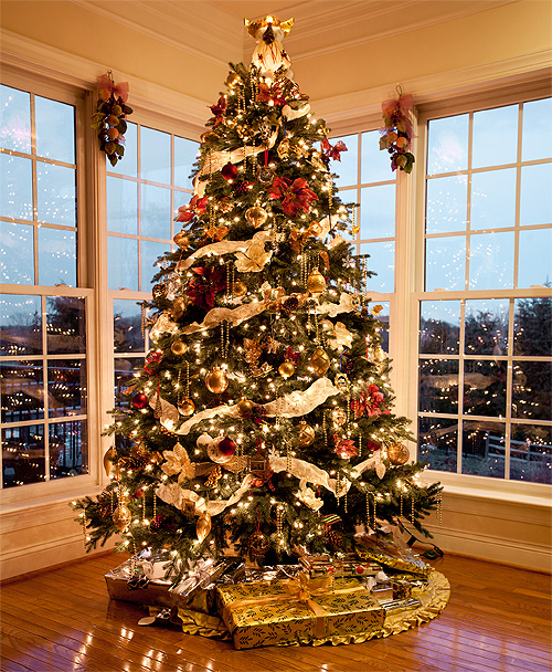Christmas Tree Not Pagan, Christian Origin
