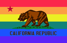 Homosexual Indoctrination California SB48 Schools 