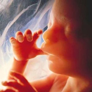 human life is precious abortion is murder