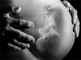 Abortion and the Mother's Life and Safety