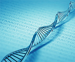 Second Code Discovered Inside DNA