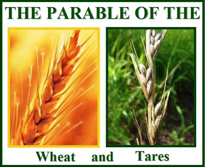 Parable of the Wheat and the Tares - Why Priests Must Vigilantly Keep Watch