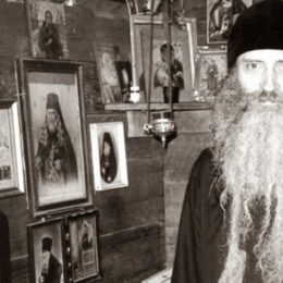 Living in an Age of Many False Teachers