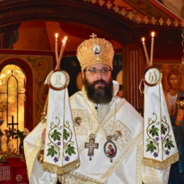 Covid Hysteria: Man Has Become a Virus to His Fellow Man Covid Hysteria: Man Has Become a Virus to His Fellow Man