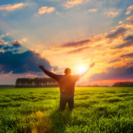 Cultivate the Spiritual Discipline of Gratitude Cultivate the Spiritual Discipline of Gratitude