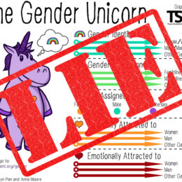 Gender Identity is the Great Lie of Transgender Ideology