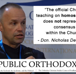 Nicholas Denysenko: Official Church Teaching on Homosexuality Doesn't Represent a Consensus