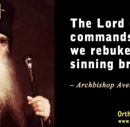 The Lord Directly Commands That We Rebuke a Sinning Brother