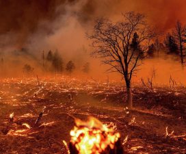 Extinguish Anger Before it Consumes Us