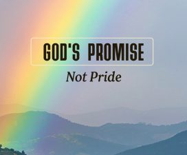 Rainbow Sign of God Promise, Not Symbol for Pride and Sexual Immorality